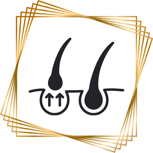 categoryicon